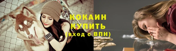 MESCALINE Аркадак