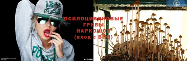 стафф Балахна
